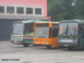 foto (12)