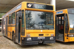 foto (53)